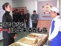 十分有趣的《24小时不准笑》日本综艺百度云,让每个笑点都不放过