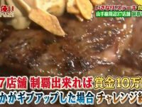 拓展你的娱乐圈：看看日本真人秀综艺节目叫什么