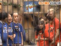 点击即可观看的日本综艺大全，告诉你在哪看最好