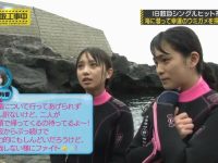 骑马问答：体验“奇妙”之旅，日本综艺的独特之处