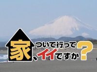 用镜头记录！《可以去你家吗》双胞胎与家人的日常