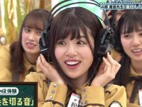 想了解日本综艺樱花樱花想见你吗?这里有详细介绍