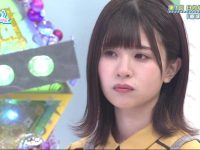 日本综艺“超级狗猴大战”：一只狗一只猴子技能PK，笑点不断