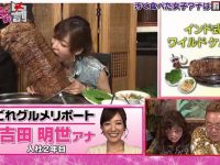 化妆连线，日本综艺视频中的颜值大考验