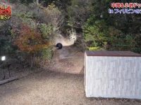 日本大胃王综艺安吉拉爆笑挑战,你敢跟上吗?