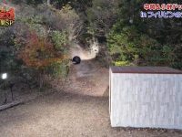 从日剧到综艺,日本开放综艺成为亚洲文化领袖