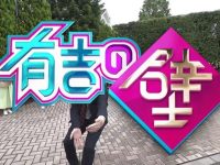 了解日本综艺有什么名字,你必须掌握这些搜索技巧