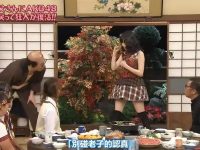 日本综艺爆款节目中的常驻演员名单