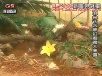 「电视冠军王」等你来战,打破综艺壁垒