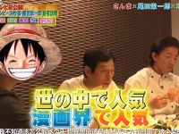 从网盘下载《真的假的TV》,体验日本综艺的独特魅力