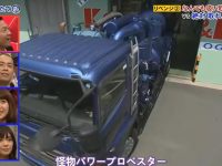 热议综艺界的明日之星：日本《矛与盾》综艺节目一举成名