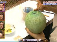 日本恶搞节目大全推荐，你不容错过