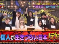 最火日本综艺猫咪最爱看,这些玩法超级有趣