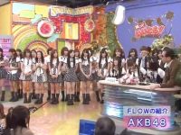 老少皆宜的日本游戏类综艺：有哪些节目适合全家一起看？