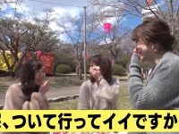 日本家庭游戏综艺真的这么好看吗？快来看看节目名字