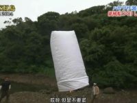 小伙伴们的互帮互助,铁腕精神全爆发!《铁腕DASH》闪瞎你的眼