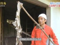 《铁腕DASH》惹恼“岛民”停播，你了解真相吗？